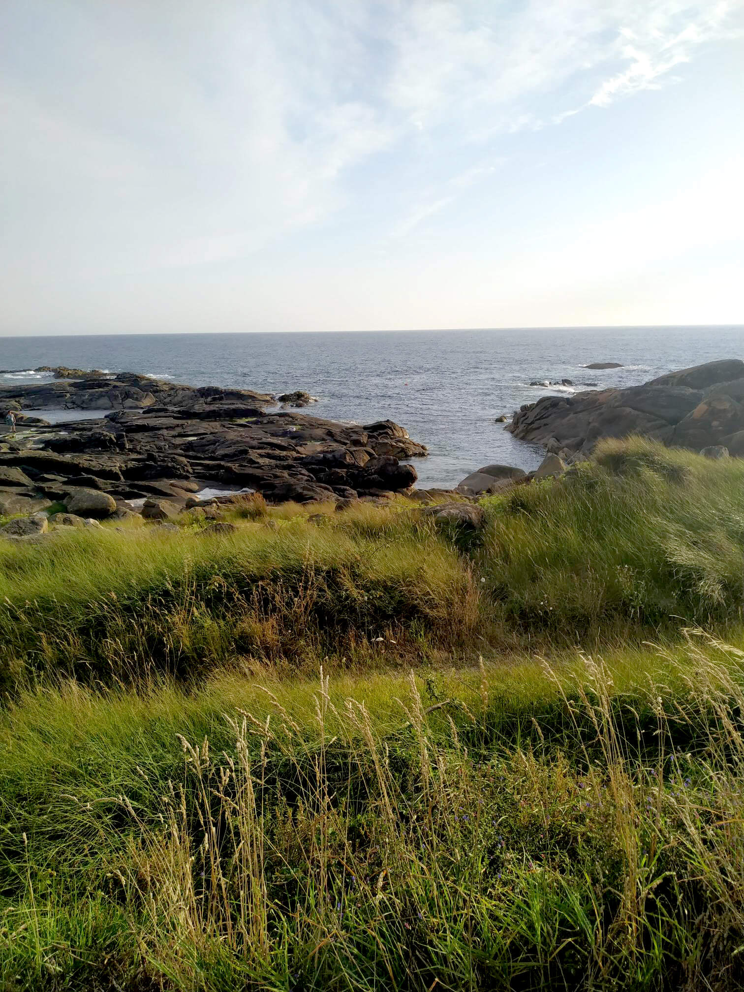The Galician Institute of Territorial Studies presents the Green Gap project for the promotion of green infrastructures and for the restoration of biodiversity and landscape design in Galicia and Northern Portugal.