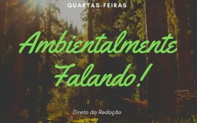 Green Gap project present at Radio Fundação de Guimarães