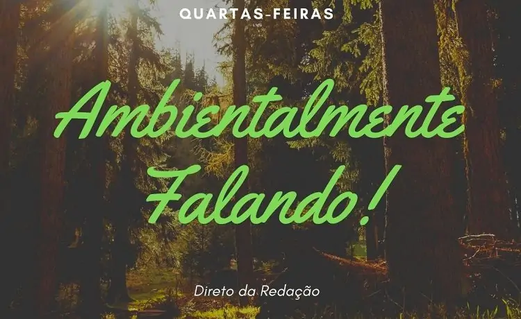 Green Gap project present at Radio Fundação de Guimarães